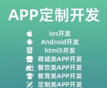APP定制开发、APP开发、系统开发